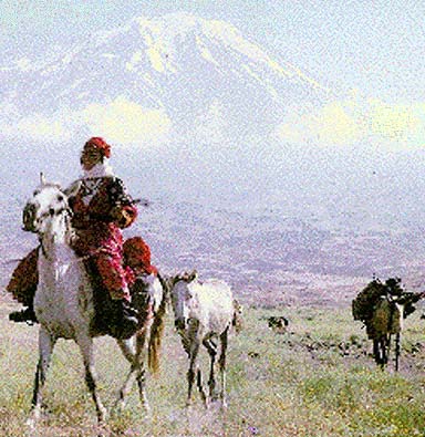 ararat