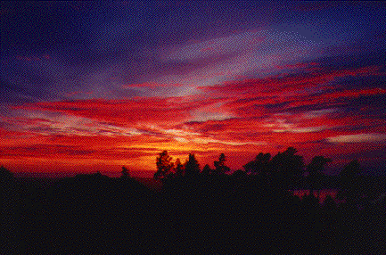 SUNSETS